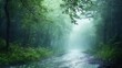 © PICK YOUR POV - A serene forest scene with a river under gentle rain, evoking tranquility and nature's beauty.