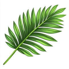 A green tropical palm leaf, playful cartoon illustration, bright green, isolated on white background