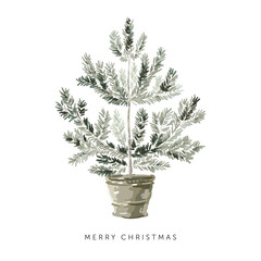Wall Mural - christmas pine tree in the pot, text, white background. design template for the card, poster, t shir