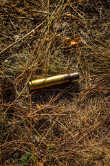 Brass case of damaged ammunition from a fired military firearm, weapon element in dry grass in the middle of the forest. Close-up color vertical photo.