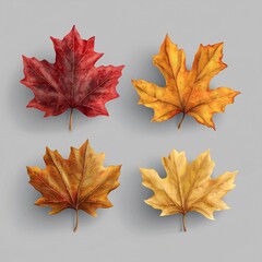 Wall Mural - Autumn leaves.