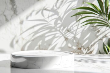 Wall Mural - White marble background background table plant windowsill.