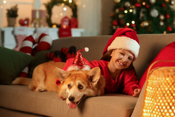 Sticker - Cute happy girl with Corgi dog in Santa hats lying on Christmas eve at home