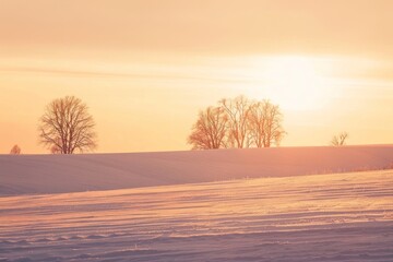 Poster - Winter plain landscape horizon nature trees.