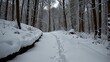 © aoao - Snowed-In Pathways A narrow, winding path through the woods completely covered in deep snow, making it impassable and lost to winter's grasp.
