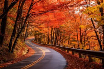 Canvas Print - Street autumn sky infrastructure.