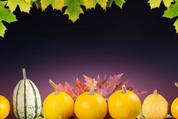 Poster - Thanksgiving colored Autumn decoration leaves and pumpkin