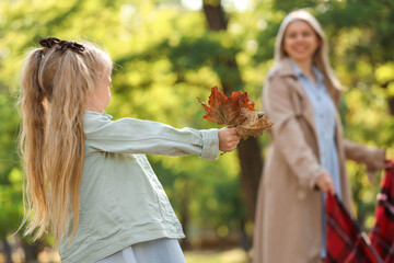 Wall Mural - Cute little girl with fallen leaves and her mother in park on autumn day