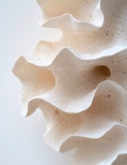 Wall Mural - Closeup of abstract white mushroom-like fungus