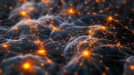 Poster - human brain's connectome and network dynamics