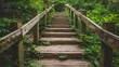 © Mahavira Osa - Wooden Steps Leading into a Lush Forest