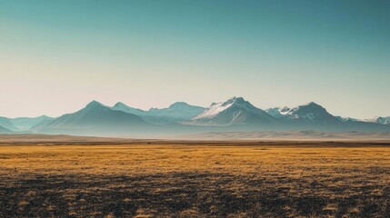 Vast landscapes stretching beyond sight.