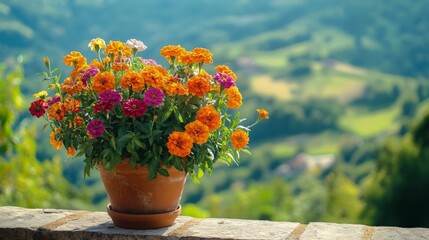 Canvas Print - Potted Blooms of Orange, Pink, and White Flowers Against a Blurred Green Landscape