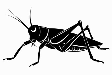 Grasshopper silhouette, Grasshopper icon, vector illustration isolated on white background
