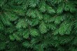 © MUdaylah - Fir or pine christmas and new year holiday green backdrop with generative ai