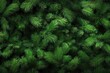 © MUdaylah - Fir or pine christmas and new year holiday green backdrop with generative ai