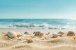 © Babb - A beach scene with a large number of shells scattered across the sand