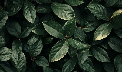 A close up of a green leafy tree branch