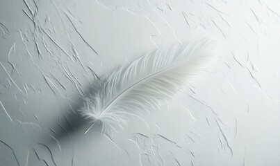 Poster - Minimalist close-up of a single feather lying on a smooth, white surface, with delicate shadows and subtle textures, symbolizing lightness and grace