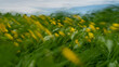 © slobodan - Messy landscape of wildflowers swaying in wind, motion blur