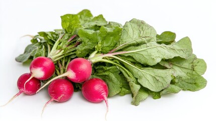 Canvas Print - A bunch of fresh radishes with green leaves on a white background.