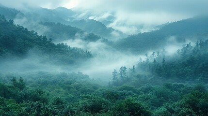 Wall Mural - Misty Mountain Landscape: A Tranquil Forest Scene