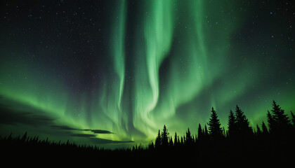 beautiful aurora in the night sky, alien landscape in the north
