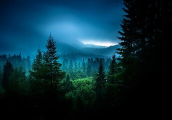 Aufkleber - A dark forest silhouetted against a twilight sky, with a single bright spot illuminating the distant hills.