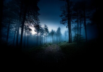 Aufkleber - A foggy forest path with a hint of light in the distance.