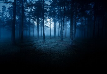 Poster - A misty forest at night, the tall trees stand in silhouette against the faint glow of the moon.