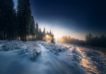 Poster - Sunrise over a snow-covered forest with trees silhouetted against the horizon.