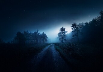 Aufkleber - A dark dirt road winds through a misty forest under a starry night sky.
