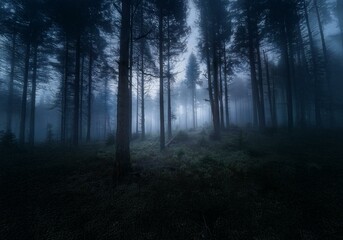 Poster - A dense, misty forest with tall trees and a faint path disappearing into the fog.