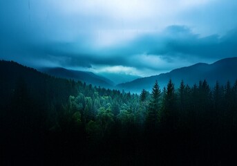 Poster - A misty forest under a cloudy sky, rain falling.