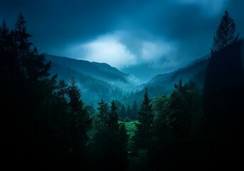 Poster - A dark, misty forest with a hint of light illuminating the sky above.