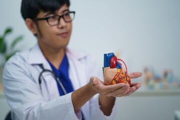 Cardiologist showing the inside of the heart, its components and treatment.