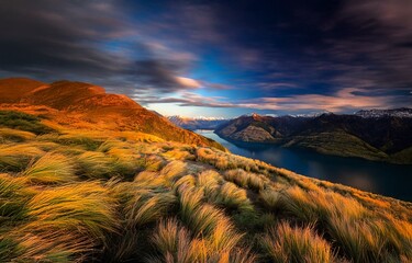 Poster - A vast landscape of golden grass blowing in the wind against the backdrop of a serene lake nestled between snow-capped mountain peaks.