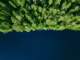 Wall Mural - Aerial top view of green summer forest and blue lake water. Rural landscape in Finland.