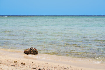 Empty beach near calm sea on sunny day, small rock in foreground