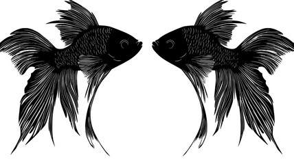 Sticker - Betta fish flaring its fins in mirror reflection, vector illustration art