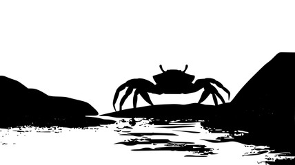 Poster - Crab moving between rocks in a coastal environment, searching for shelter, vector illustration art