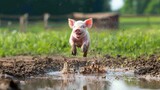 A joyful pig leaps through muddy water, showcasing its playful nature in a vibrant green farm setting.