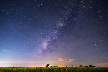 Wall Mural - milky way with stars over rice field.with grain and select white balance.white clouds obscured and d