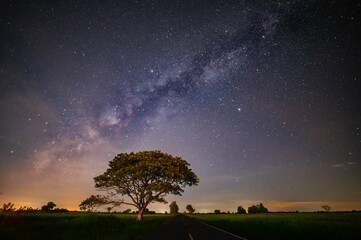 Wall Mural - milky way with stars over rice field.with grain and select white balance.white clouds obscured and d