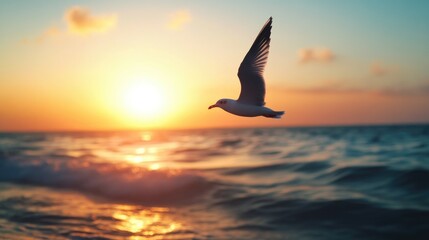 Sticker - Seagull Flying Over Ocean Sunset