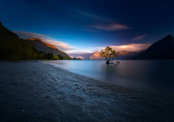 Aufkleber - A lone tree stands in a still lake surrounded by mountains and a blue sky at dusk.