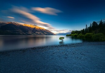 Aufkleber - A solitary tree stands in a still lake with a mountain range and a blue sky in the background.