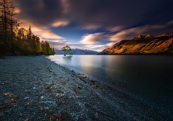Aufkleber - A lone tree stands in a lake with a mountain backdrop, its branches reaching towards the sky.