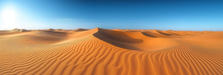 Expansive sand dunes stretching under the bright sun in a vast desert landscape