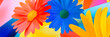 © shokokoart - Eine abstrakte Komposition aus Sonnenblumen und glänzenden, kugelförmigen Elementen in lebhaften Farbtönen.